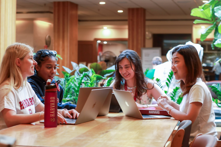 IMG Universidade Católica Portuguesa assina acordo com a Harvard Summer School Global Partner Program